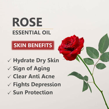 https://cdn.shopify.com/s/files/1/1857/6931/files/VkcFI0PHVQ.jpg?v=1731581576